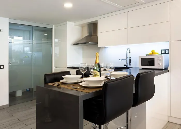 Modern & Elegant Loft 公寓 普拉亚戴尔雷安格莱斯